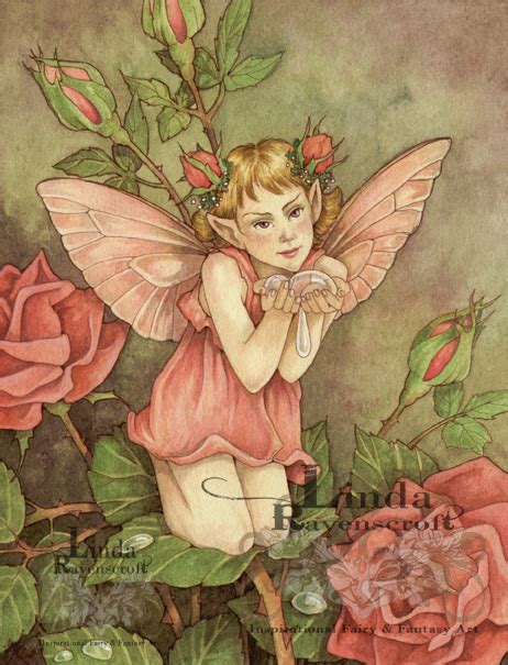 Fairies And Roses