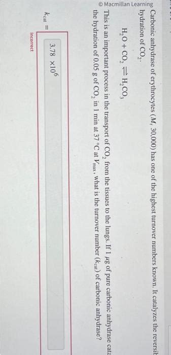 Solved Carbonic Anhydrase Of Erythrocytes Mr30 000 Has One Chegg