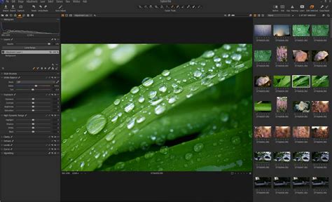 Capture One Pro: Photo editing software review | Popular Photography