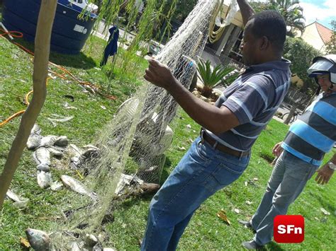 Limpeza De Lago Chama Atenção Da População Sf Notícias