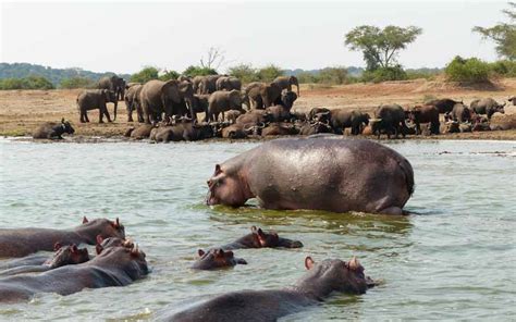 Queen Elizabeth National Park