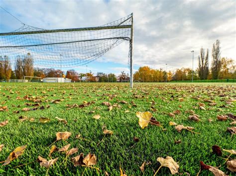 Soccer Playground Green Turf Field For Soccer With Autumn Leaves Stock