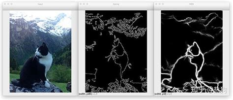 边缘检测 使用 Opencv 和 深度学习 进行 整体嵌套边缘检测深度学习 边缘检测 Csdn博客