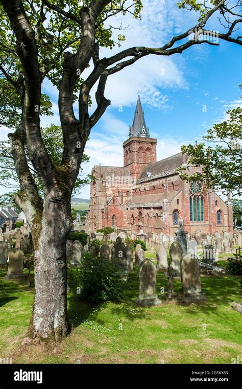 St Magnus Cathedral, St Magnus Cathedral, built with red sandstone, tree and graveyard, Kirkwall ...