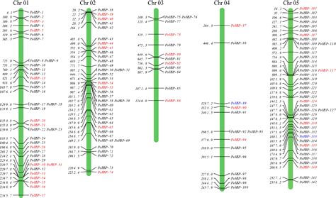 Integration Of Genome Wide Identification Transcriptome And