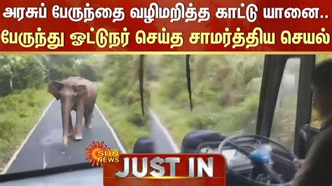 Kerala Elephant பேருந்து ஓட்டுநர் செய்த சாமர்த்திய செயல் அரசுப்