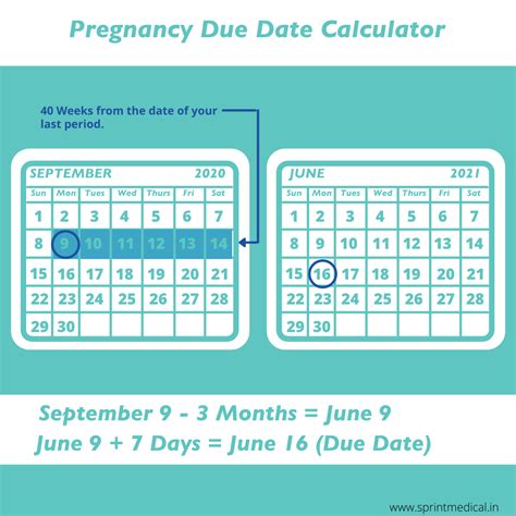 Galen Ecalcs Calculator Pregnancy Due Dates Galen 