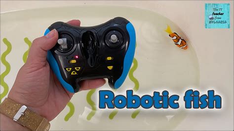 Robotic Fish Toy With A Remote Control By Zuru Robo Fish Youtube