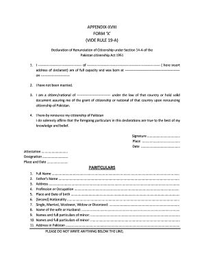 Appendix Xviii Form X Embassy Of Pakistan Fill And Sign Printable