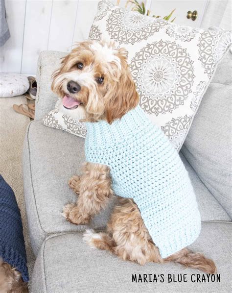 Crochet Dog Sweater Free Pattern - Maria's Blue Crayon