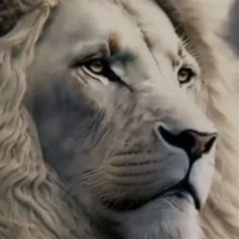 Sexo Gay Con Malla De Prostituta Xhamster