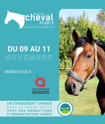 Le Label Equures Bien Tre Au Travail Au Salon Du Cheval Dangers