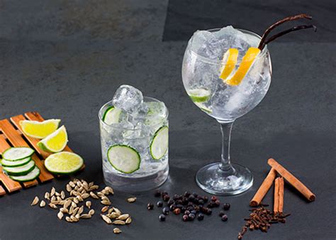 Componentes De Un Gin Tonic Perfecto Los Nicos