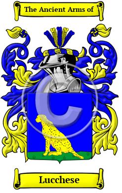 Lucchese Name Meaning, Family History, Family Crest & Coats of Arms