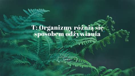 Organizmy R Ni Si Sposobem Od Ywiania