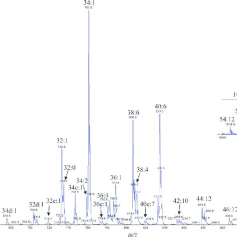 Precursor Ion Scan Esi Mass Spectrum Of The Salamander Retina Lipid