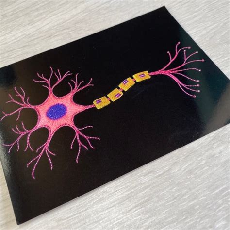 Neurological Anatomical A6 Sticker Sheet Embroidery Neuron Etsy Uk