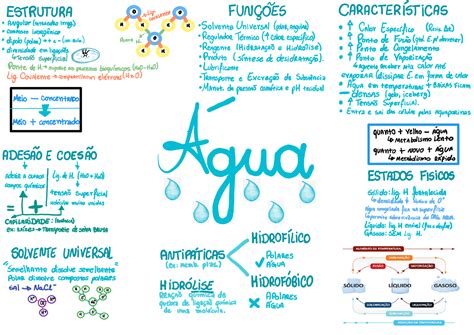 Bioquimica Agua - Mapa Mental - Água - Bioquímia | Esquemas Bioquímica | Docsity