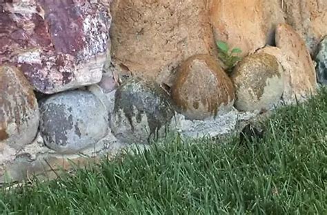 Nina Stevens Porn Videos Porn Star Sex Scenes XHamster