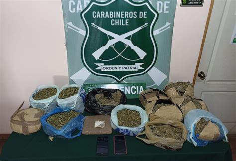 Carabineros Incauta 55 Mil Dosis De Drogas En Azapa Avaluadas En 165 Millones De Pesos