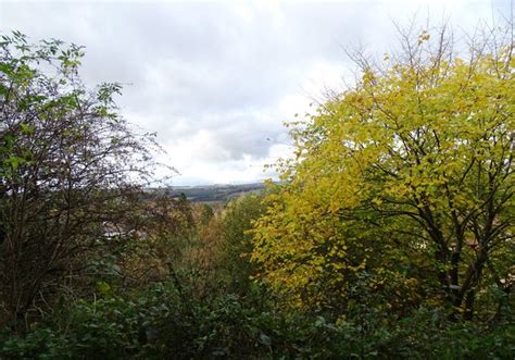 Autumn Trees Beside The Derwent Walk Robert Graham Geograph