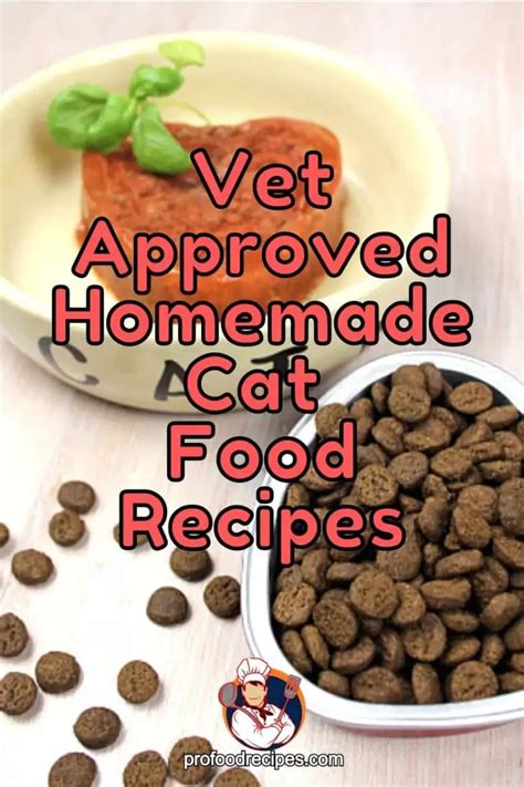 7 Best Vet Approved Homemade Cat Food Recipes