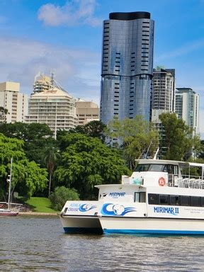 Book Lone Pine Koala Sanctuary Tickets 2023 | Brisbane River Cruise