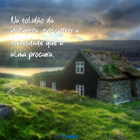 Frases Para Fotos Na Natureza - Frases Inspiradoras para Fotos Sozinha na Natureza: Capturando Momentos ...