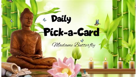 Daily Pick A Card Reading 17th August 2022 Timeless YouTube