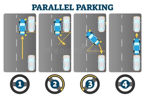 Parallel Parking Example Scheme Driving License Exam Guide Vector Illustration Educational