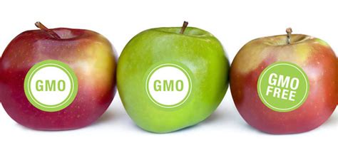 The Surefire Ways To Know If You Re Buying The New Gmo Apple