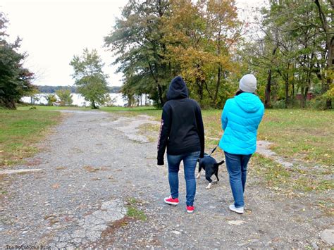 A Lazy Walk In The Park With The Dog The Boondocks Blog