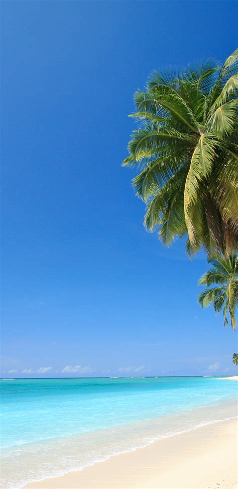 Tropical Beach Screensaver, Wallpaper, Tropical Beach Screensaver ... Desktop Background