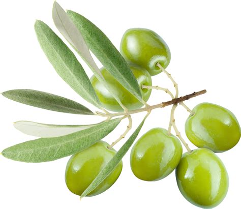 Оливки PNG