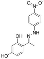 1 2 4 DIHYDROXYPHENYL ETHANONE 4 NITROPHENYL HYDRAZONE AldrichCPR