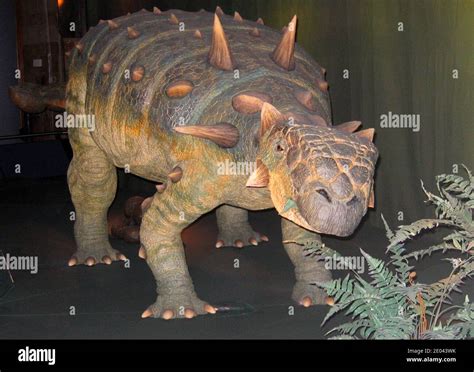 Front view of an Ankylosaurus at the Dino Jaws Exhibition in 2006 at the Natural History Museum ...