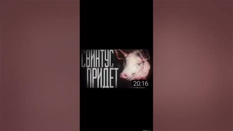 свинтус придёт - YouTube