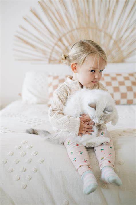 The Best Cats for Kids