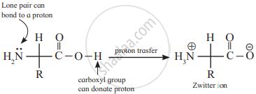 Draw A Neat Diagram For The Following Zwitter Ion Chemistry