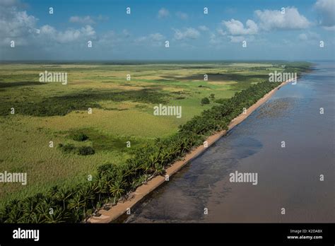 Clear Waters - Guyana, Essequibo Islands-West Demerara (233-3334)