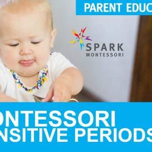 Montessori Sensitive Periods Seminar Spark Montessori School