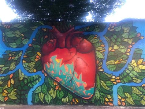 Meio Ambiente: Grafiteiros em ação pela Amazônia – Tamoios News