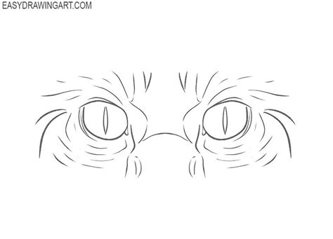 Easy Cat Eyes Drawing Tutorial