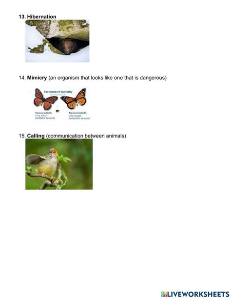 Adaptations Exercise For 7 Live Worksheets