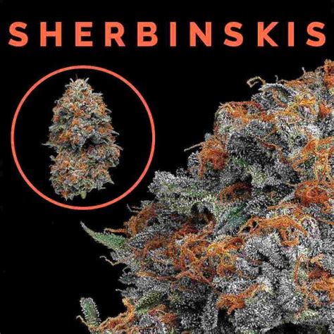 Sherbinskis Cannabis Products