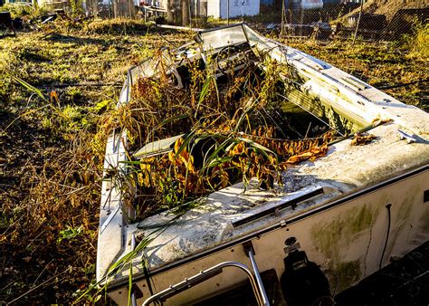 Beached Photograph By Tim Fitzwater Fine Art America