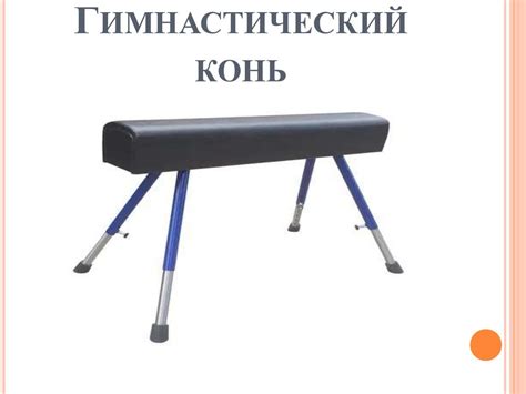 Спортивный инвентарь и снаряды - презентация онлайн