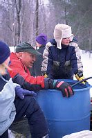 Making Maple Syrup In Parry Sound