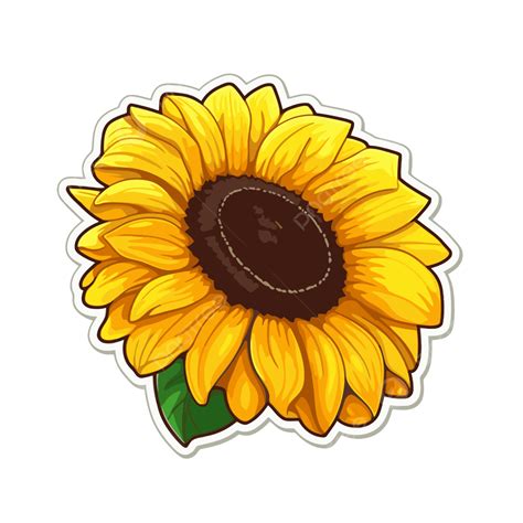 sunflowers clipart easy