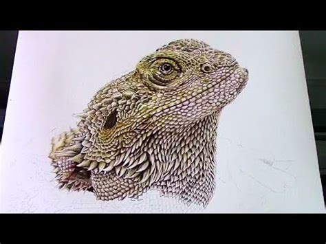 Easy Cute Bearded Dragon Drawing - Smithcoreview